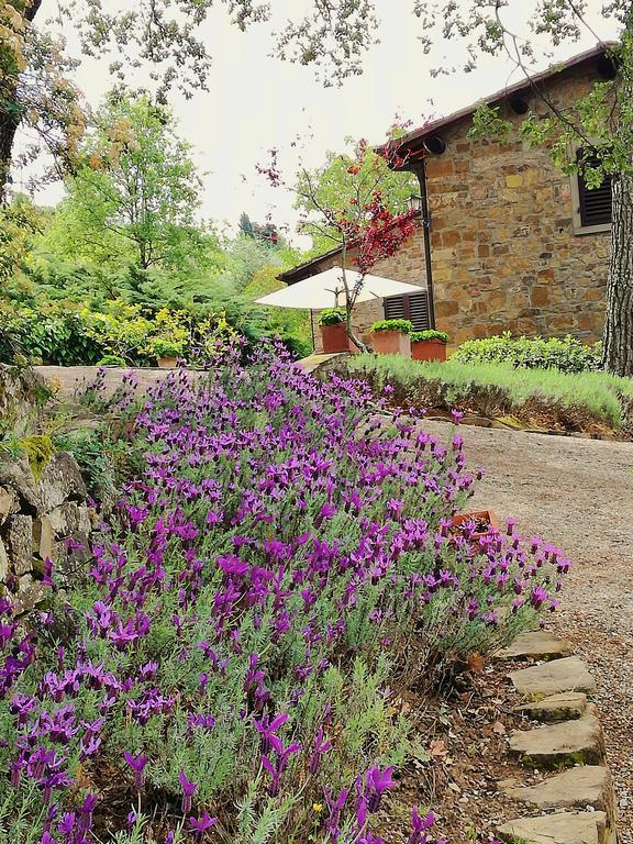 Villa Toscana Il Capiteto Panzano in Chianti Εξωτερικό φωτογραφία