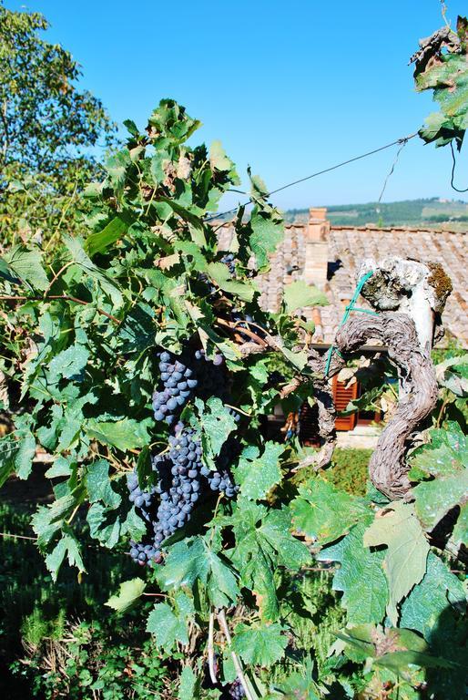 Villa Toscana Il Capiteto Panzano in Chianti Εξωτερικό φωτογραφία
