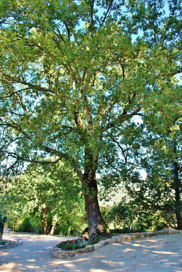 Villa Toscana Il Capiteto Panzano in Chianti Εξωτερικό φωτογραφία